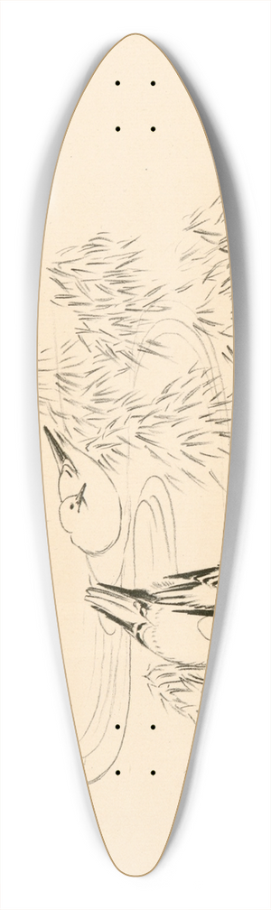 Flix Bracquemond - Petites mouettes dans leau. 39.3 inch art pintail longboard deck