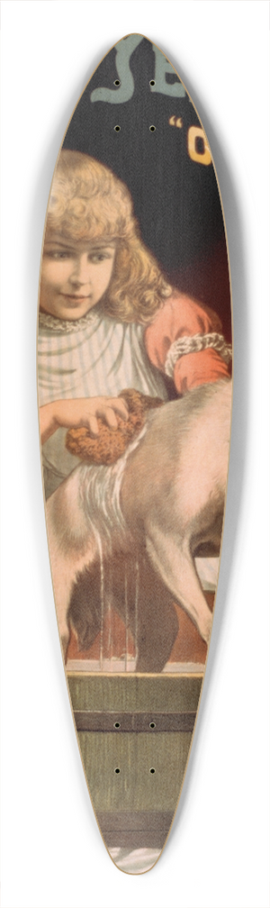 Forbes Co. - Jennie Yeamans Our Jennie 39.3 inch art pintail longboard deck