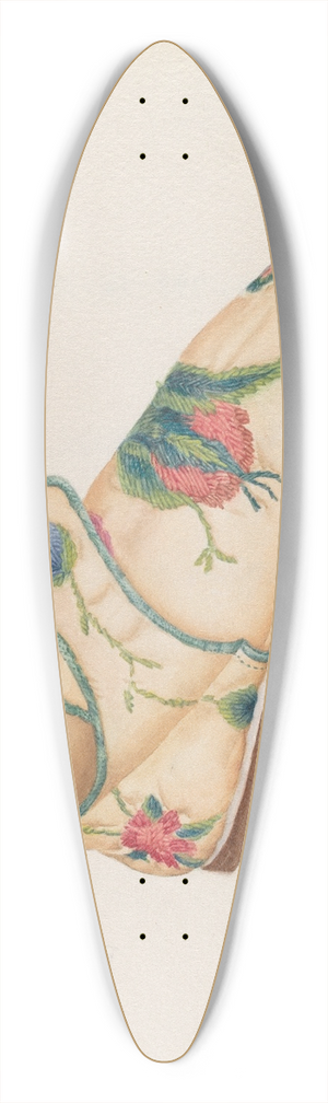Frances Cohen - Childs Shoe 39.3 inch art pintail longboard deck