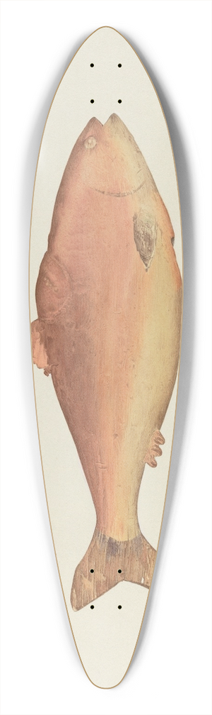 Frances Cohen - Shop Sign 39.3 inch art pintail longboard deck