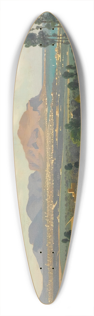 Francesco Lojacono - Palermo And Mount Pellegrino 39.3 inch art pintail longboard deck Francesco Lojacono - Palermo And Mount Pellegrino 39.3 inch art pintail longboard deck
