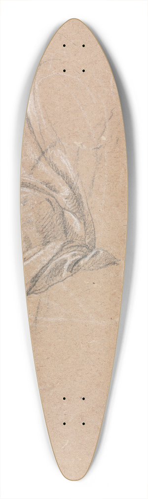 Francesco Lorenzi - Drapery study with left hand 39.3 inch art pintail longboard deck