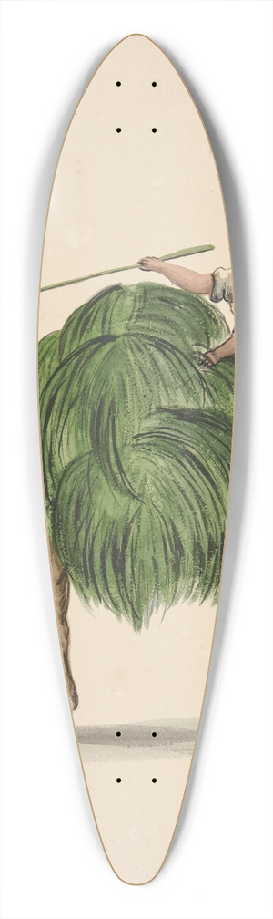 Francisco Fierro - Indian Girl Returning from the Fields 39.3 inch art pintail longboard deck