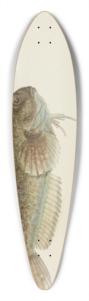 Frank Edward Clarke - Blenniidae (Tas) : Blenny 39.3 inch art pintail longboard deck
