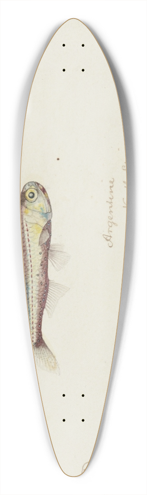 Frank Edward Clarke - Maurolicus muelleri 39.3 inch art pintail longboard deck