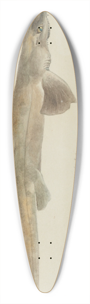 Frank Edward Clarke - Pristiophorus nudipinnis (Tas) 39.3 inch art pintail longboard deck