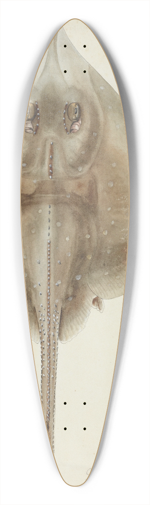 Frank Edward Clarke - Raja nasuta (NZ): Rough skate 39.3 inch art pintail longboard deck