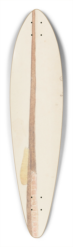 Frank Edward Clarke - Syngnathidae : Common Pipefish 39.3 inch art pintail longboard deck