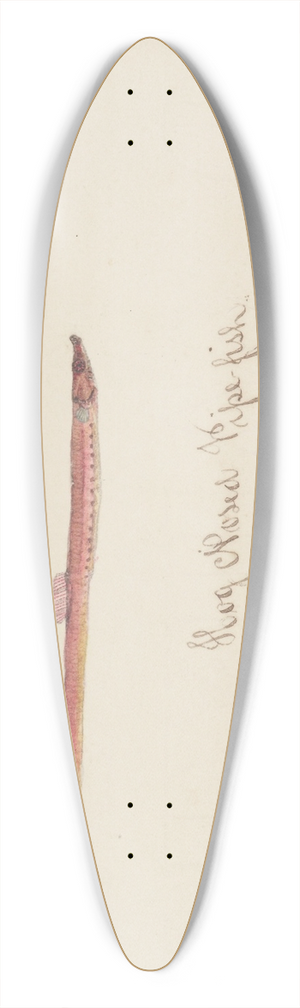 Frank Edward Clarke - Syngnathidae : Pipefish 39.3 inch art pintail longboard deck