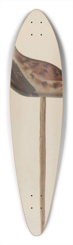 Franklyn Syres - Decoy 39.3 inch art pintail longboard deck