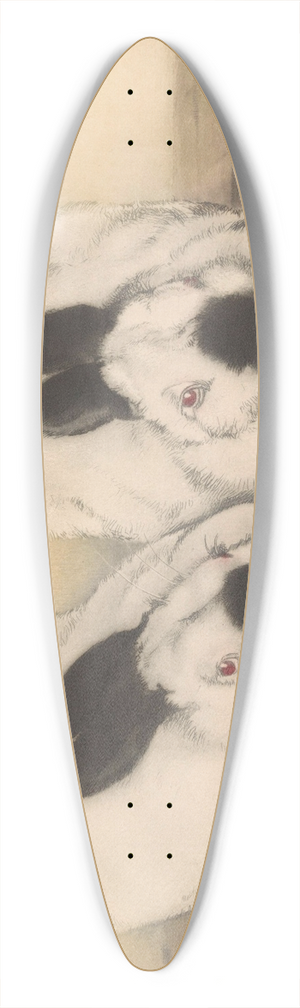 Frans Everbag - Twee ruskonijnen 39.3 inch art pintail longboard deck