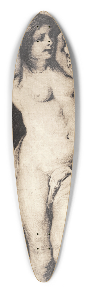 Frans Schwartz - Andromeda, efter Rubens 39.3 inch art pintail longboard deck