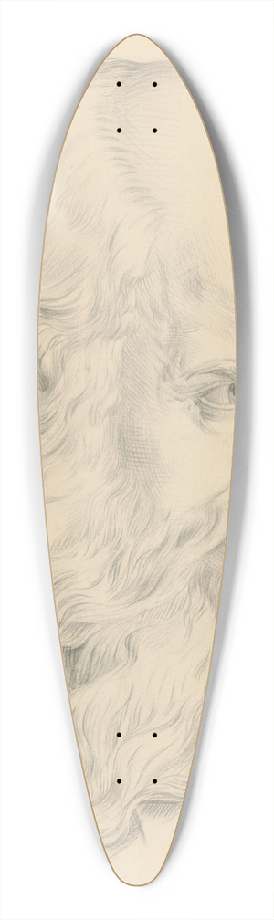 Frantiek Klimkovi - The head of an old man 39.3 inch art pintail longboard deck