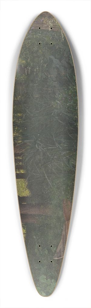 Frantiek Slab - Der Teich 39.3 inch art pintail longboard deck