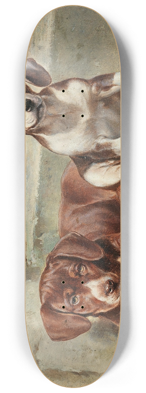 Carl Reichert - Gestrte Siesta 8.25 inch art skate deck