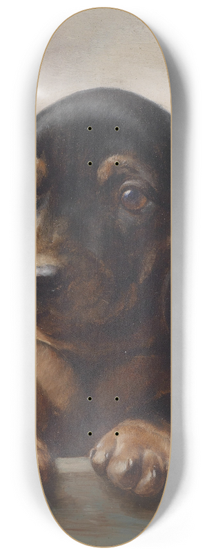 Carl Reichert - Young dachshund 8.25 inch art skate deck