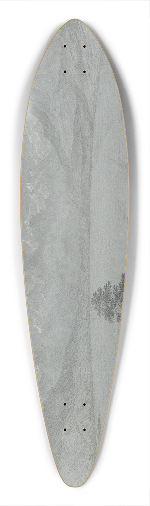 Franz Schtz - Der Sempacher See 39.3 inch art pintail longboard deck