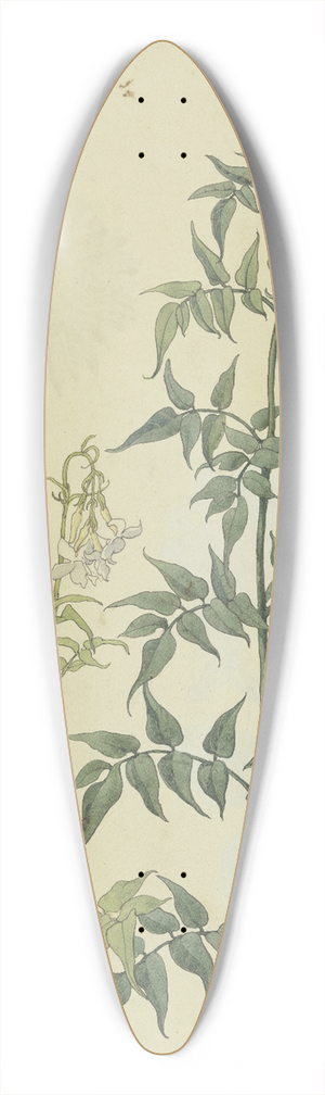 Franz Theobald Horny - Zwei Jasminzweige 39.3 inch art pintail longboard deck