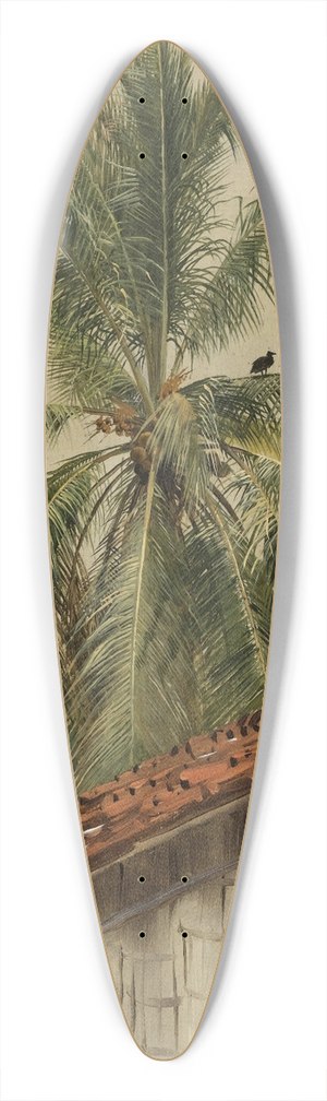 Frederic Edwin Church - Palm Trees and Housetops, Ecuador 39.3 inch art pintail longboard deck Frederic Edwin Church - Palm Trees and Housetops, Ecuador 39.3 inch art pintail longboard deck