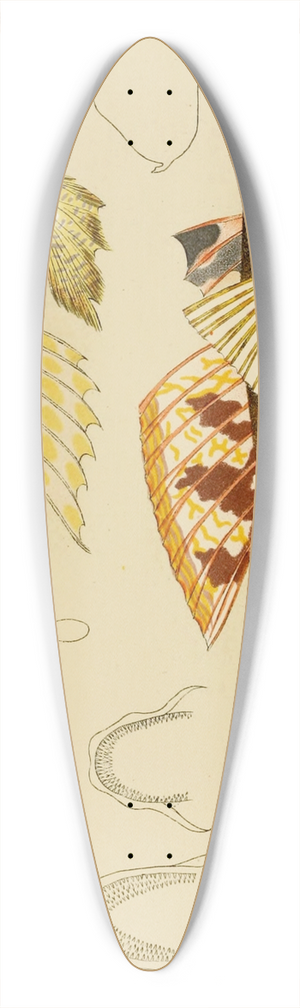Frederick McCoy - Fishes X 39.3 inch art pintail longboard deck