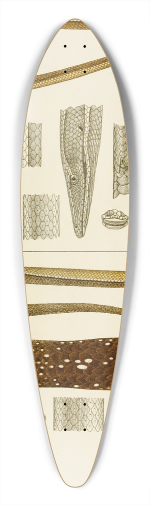 Frederick McCoy - Reptiles V 39.3 inch art pintail longboard deck