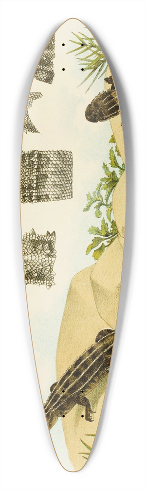 Frederick McCoy - Reptiles VII 39.3 inch art pintail longboard deck