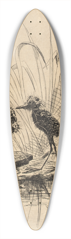 Frederick Stuart Church - Two Birds 39.3 inch art pintail longboard deck
