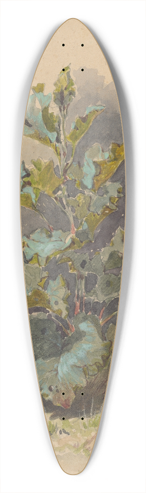 Friedrich Carl von Scheidlin - Study of Broadleaved Plant 39.3 inch art pintail longboard deck