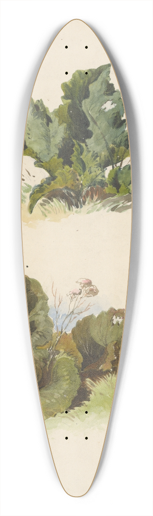 Friedrich Carl von Scheidlin - Study of Broadleaved Plants 39.3 inch art pintail longboard deck
