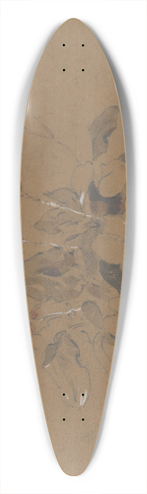 Friedrich Carl von Scheidlin - Study of Flowering Plant 39.3 inch art pintail longboard deck