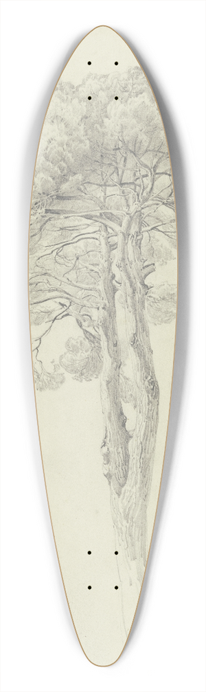Fritz Bamberger - A pine 39.3 inch art pintail longboard deck
