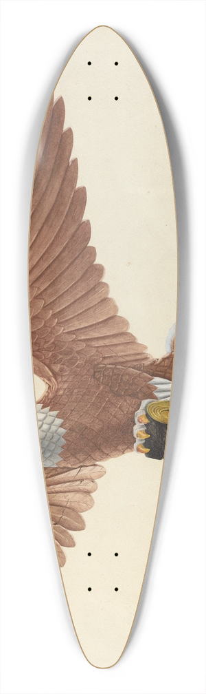 F.W. Powell - Eagle Figurehead 39.3 inch art pintail longboard deck