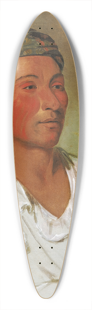 George Catlin - Lay-lo-ah-pee-i-shee-kaw, Grass, Bush, and Blossom, Semicivilized 39.3 inch art pintail longboard deck