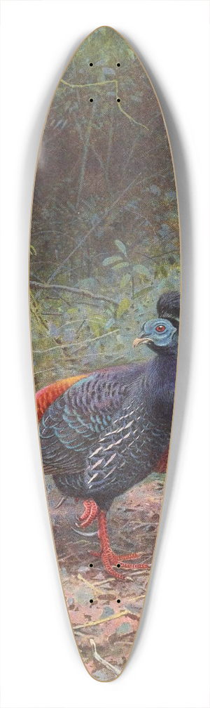 George Edward Lodge - Malayan Crested Fireback 39.3 inch art pintail longboard deck