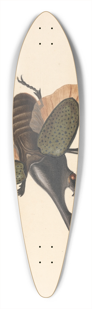 George Edwards - Hercules Beetle 39.3 inch art pintail longboard deck