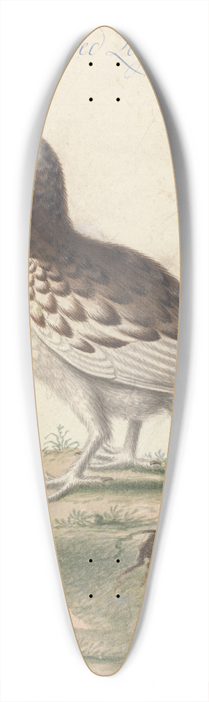 George Edwards - Ptarmigan 39.3 inch art pintail longboard deck