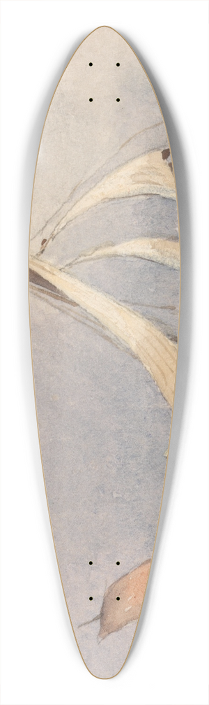 George Jackson - Gale of Winds 39.3 inch art pintail longboard deck