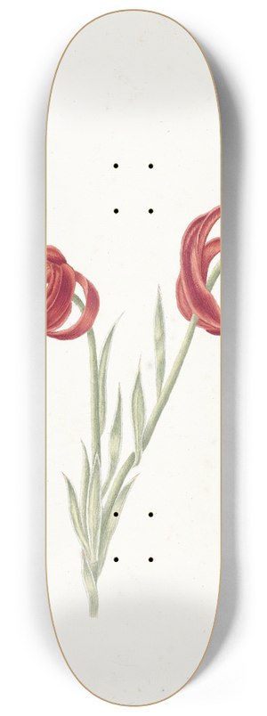 Catharina Lintheimer - Rode lelie 8.25 inch art skate deck