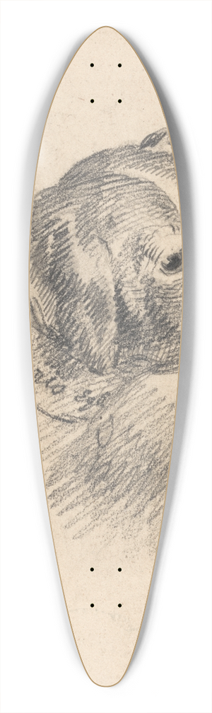 George Morland - Head of a Hound 39.3 inch art pintail longboard deck