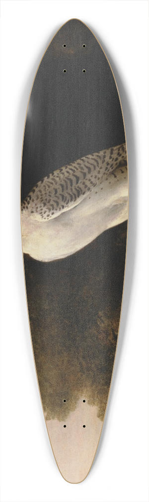 George Stubbs - Greenland Falcon 39.3 inch art pintail longboard deck George Stubbs - Greenland Falcon 39.3 inch art pintail longboard deck