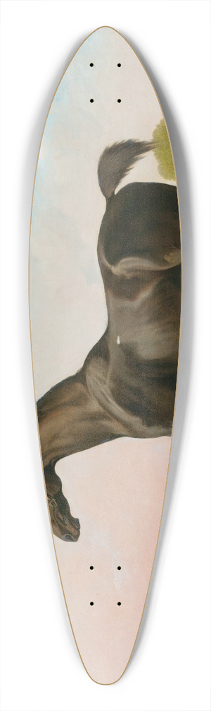 George Stubbs - Lord Grosvenors Sweet William In A Landscape 39.3 inch art pintail longboard deck