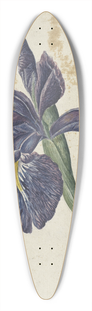 Georgius Jacobus Johannes van Os - Iris 39.3 inch art pintail longboard deck
