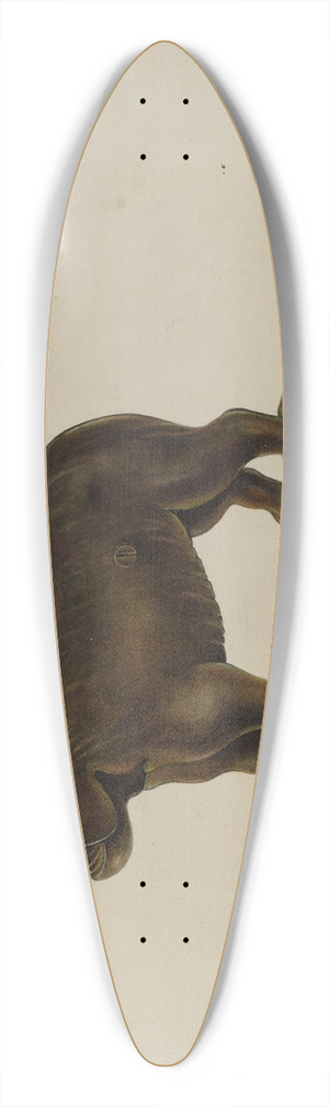 Gerald Transpota - Nutcracker  Dog Tray 39.3 inch art pintail longboard deck