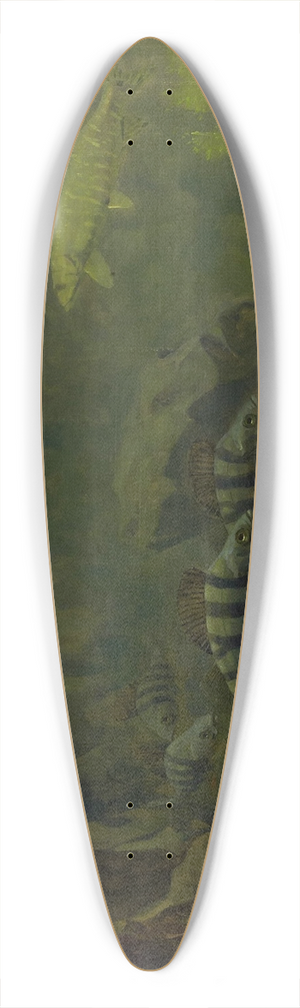 Gerrit Willem Dijsselhof - Pike and Perch in an Aquaruim 39.3 inch art pintail longboard deck
