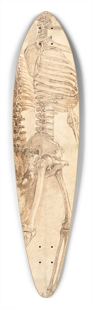 Giovanni-Battista Franco - Deux tudes de squelettes 39.3 inch art pintail longboard deck