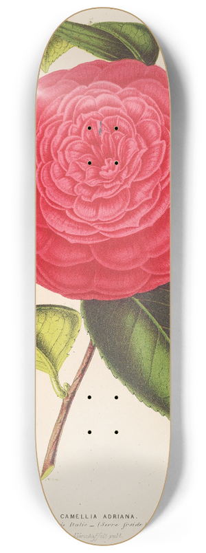 Charles Antoine Lemaire - Camellia Adriana 8.25 inch art skate deck