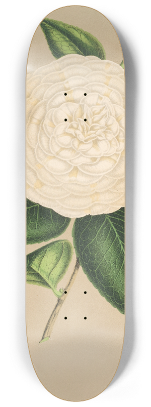 Charles Antoine Lemaire - Camellia Sangalli 8.25 inch art skate deck