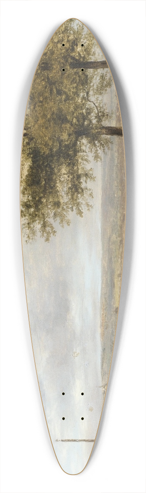 Giuseppe Canella - Vue des hauteurs de Paris 39.3 inch art pintail longboard deck