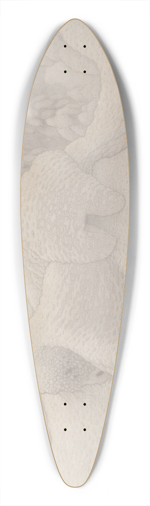 Gustaf Fjstad - From Dovrefjll 39.3 inch art pintail longboard deck
