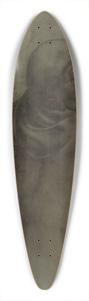 Gustave Van de Woestijne - Saint Bernard 39.3 inch art pintail longboard deck